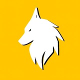 - BSC -